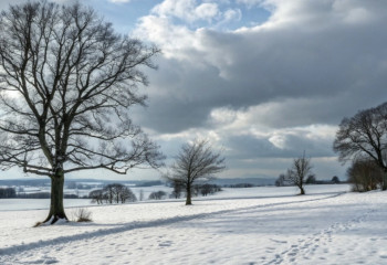 Canada to use AI to strengthen forecasting for severe weather