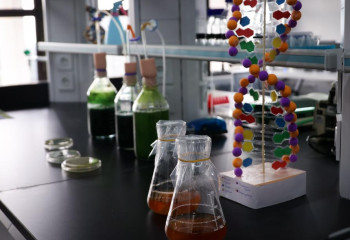 Қазақстандағы 20 мың ғалым ел дамуына қалай әсер етіп жатыр?