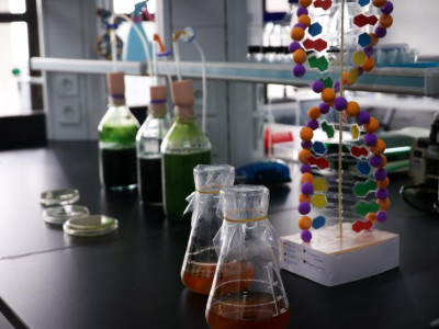 Қазақстандағы 20 мың ғалым ел дамуына қалай әсер етіп жатыр?