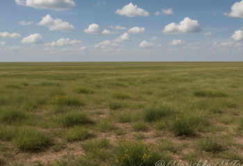 Researchers find leafy vegetables could help extract toxic metals from soil