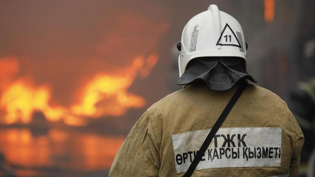  ТЖМ 
