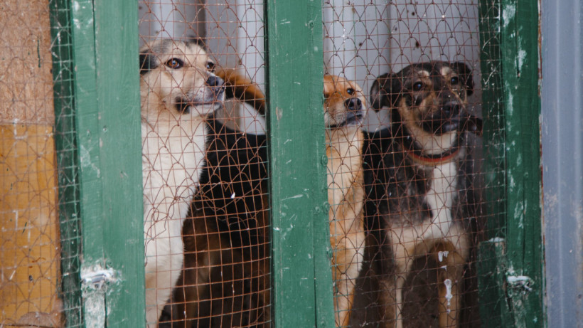  © El.kz/Жалгасбек ТОКТАМЫСОВ 