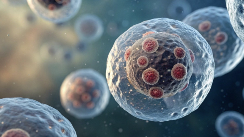  El.kz / Recraft / Dinmukhamed Beissembayev 