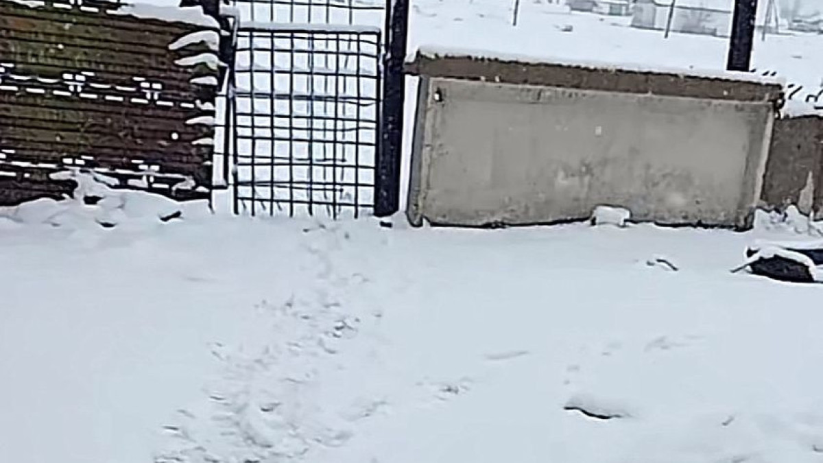  Әлеуметтік желі 