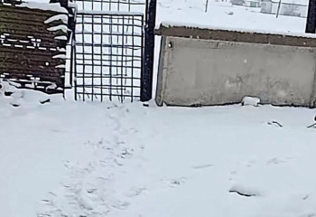 Семейде қалың қар жауды: өзге өңірлерде ауа райы қандай болады