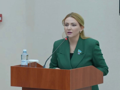 Инклюзия пандуспен өлшенбейді: депутат білім жүйесіне қатысты дабыл қақты