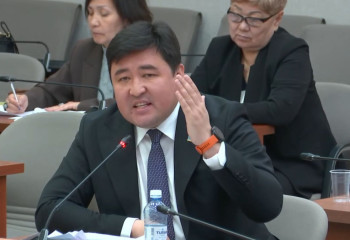 Мәжілісте ерекше бала тәрбиелеген аналарды зейнетке ерте шығару ұсынылды