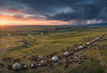 Найманы правили Китаем – что говорят генетики