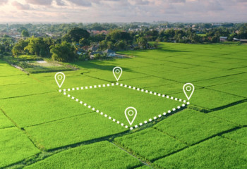 Қазақстанда 10 сотық жерді тегін алуға болады: не істеу керек