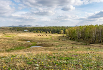 Кто имеет право на землю – как казахстанцам получить бесплатный участок