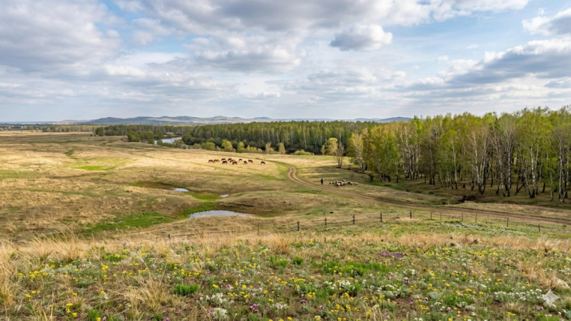  © El.kz / ИИ Gemini 