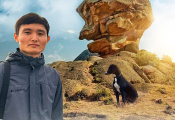 «50 жылқыдан 70 мың теңгеге дейін»: қазақы тазы неге арзандап кетті?