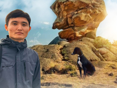 «50 жылқыдан 70 мың теңгеге дейін»: қазақы тазы неге арзандап кетті?