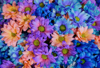 Флористика будущего: изобретения, которые уже сегодня экономят ресурсы и сохраняют природу