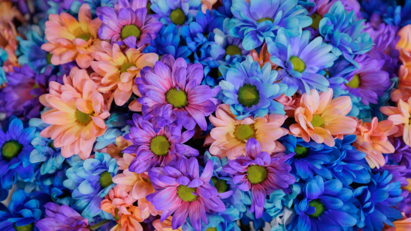  Фото Артём Чурсинов 