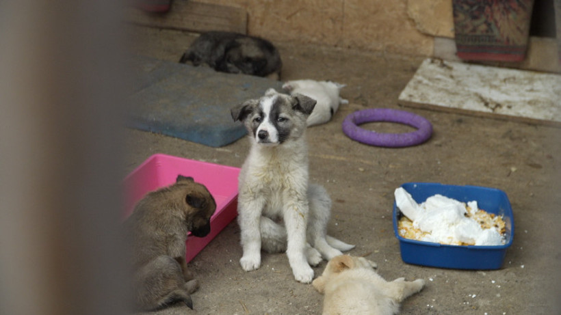  Айдана Ербатырқызы 