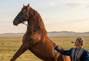 Костанайская порода лошадей заткнет за пояс 
