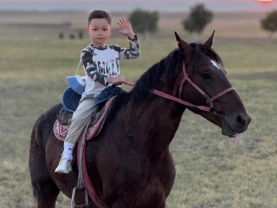 Ат құлағында ойнайтын алты жасар бүлдіршін желі жұлдызына қалай айналды