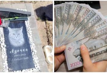Кладбище домашних животных с мраморными плитами нашли в Казахстане: почему за захоронение грозит штраф