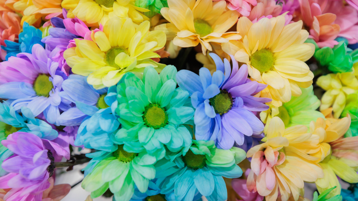  Фото Артём Чурсинов 