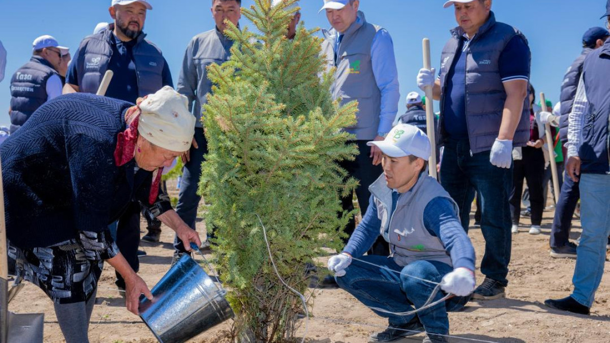  Акимат Алматинской области 