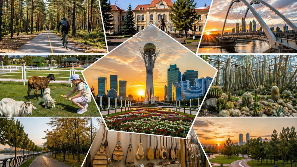  Жи көмегімен жасалды 