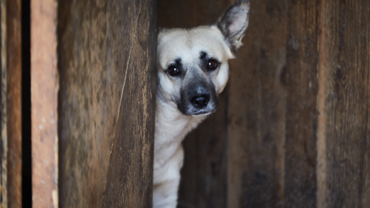  © El.kz/Газиз ШАКИРОВ 