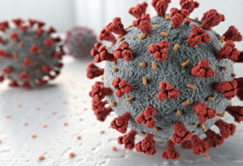 Cruise ship hantavirus outbreak not start of pandemic: WHO