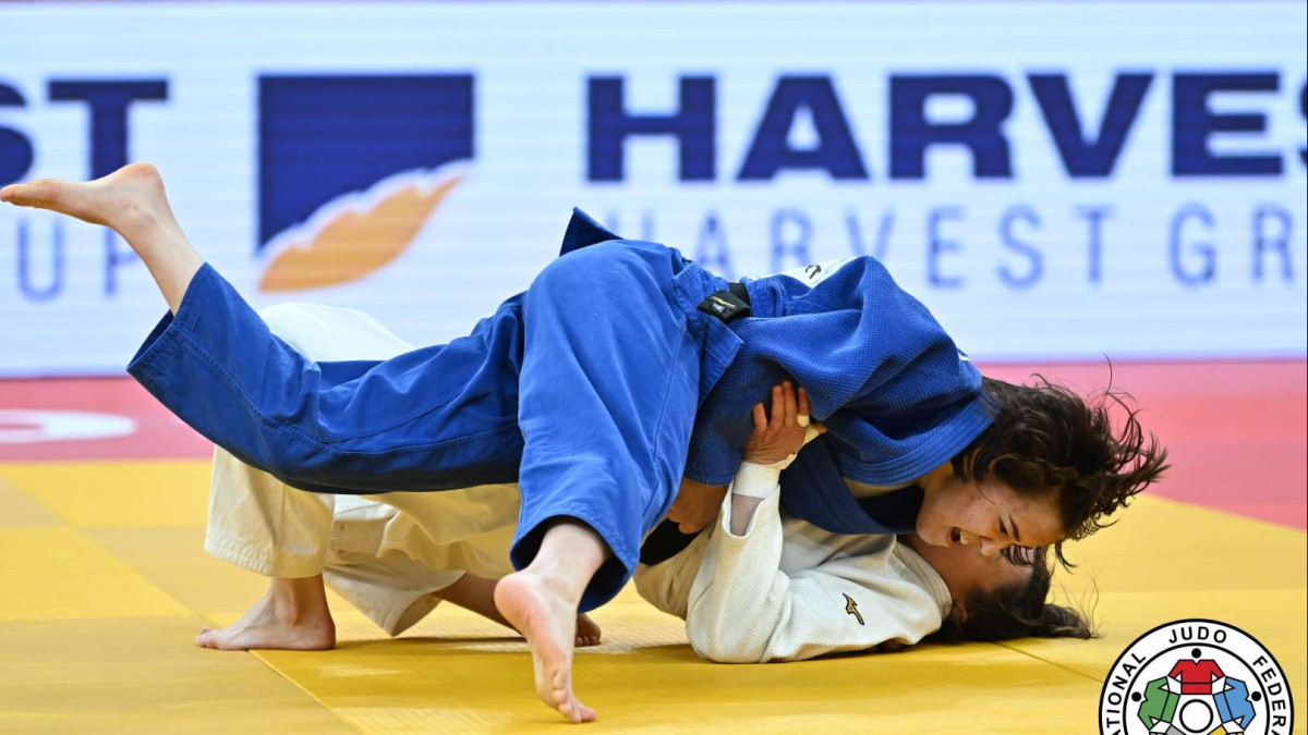  IJF 