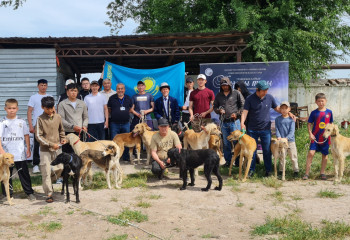 Меркіде қазақы тазы тұқымы арасында байқау өтті
