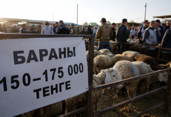 Бараны по 175 тысяч: в Казахстане взлетели цены перед Курбан-айтом