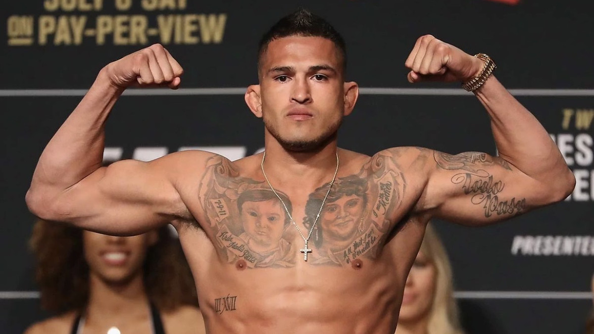  UFC 