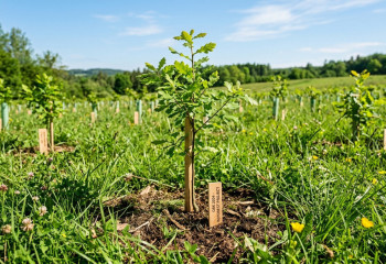 Environmental campaign united thousands of Kazakhstanis on Ecologist Day