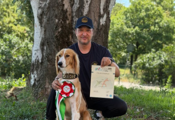 Казахский тазы завоевал титул чемпиона Италии