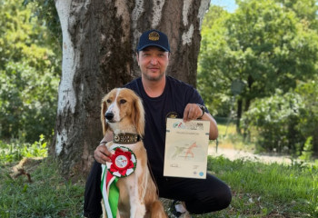 Kazakh Tazy wins Italian Champion title