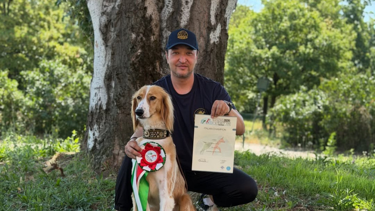 Kazakh Tazy wins Italian Champion title