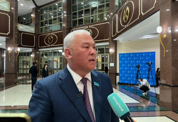 Сорванный тюльпан дороже жизни - депутат высказался о наказаниях за ДТП с жертвами