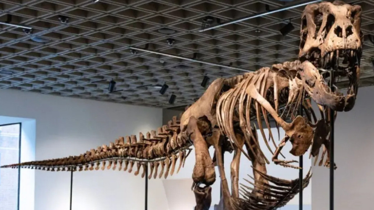 Tyrannosaurus skeleton sells for over USD 50 mln at auction