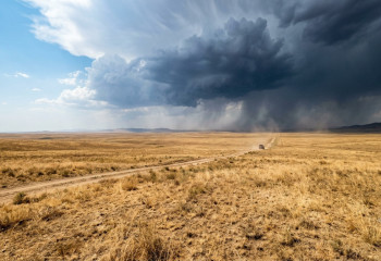 Жара до +41°C и грозы: какой будет погода в Казахстане на предстоящей неделе
