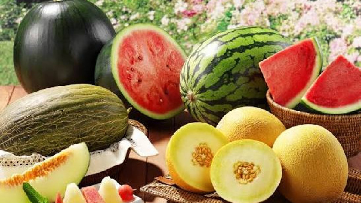 Тамызда қарбыз бен қауынның қайсысы пайдалы? Мамандар жауабы