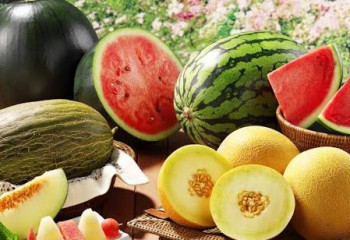 Тамызда қарбыз бен қауынның қайсысы пайдалы? Мамандар жауабы