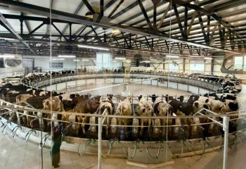 Мағжан Жұмабаев ауданында тәулігіне 150 тонна сүт өндіретін мега-жоба ашылды