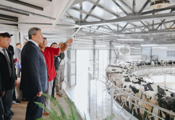 N Kazakhstan region launches mega dairy farm with CA’s largest rotary milking parlor