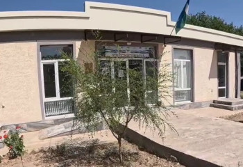 Полиция тоңазытқышқа дейін тексереді: Өзбекстанда қандай үйлерге «ұят тақтайшасы» ілінеді