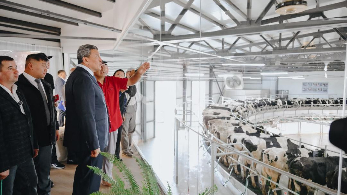 N Kazakhstan region launches mega dairy farm with CA’s largest rotary milking parlor
