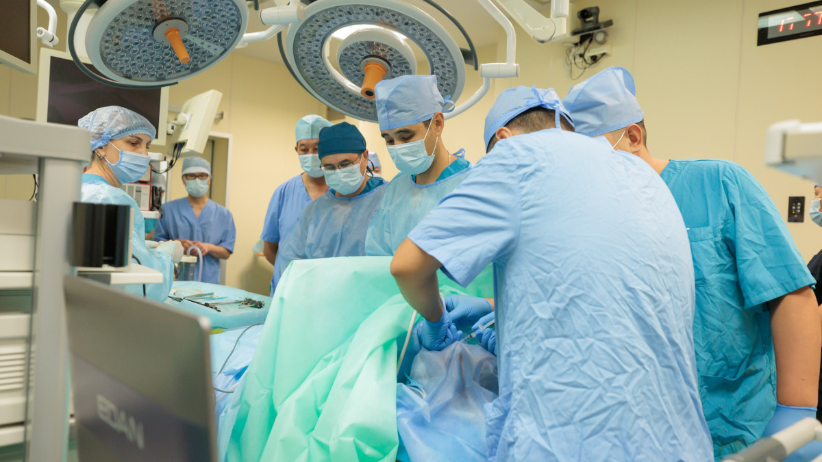 Japanese professor trains Kazakhstani surgeons