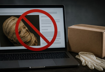 Человеческие головы продают в интернете как коллекционные предметы