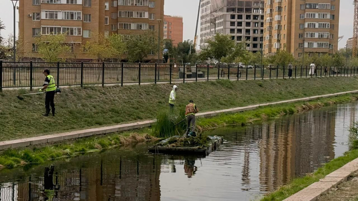 «Таза Қазақстан»: Астанада Сарыбұлақ өзенін тазарту жұмысы жүріп жатыр