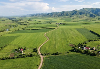 Қазақстандықтар жеке қосалқы шаруашылыққа жерді қалай тегін ала алады?