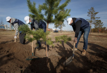 Қазақстан World Cleanup Day акциясына қосылады